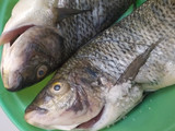 Nila acar kuning