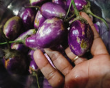 राजस्थानी टेस्टी भरवा बैंगन रेसिपी चरण 1 फोटो