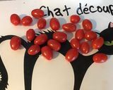 Une image de l'étape 4 de Pavés de saumon sauvage au lait de coco,champignons,tomates cerises,oignon et aneth.