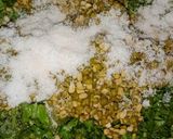 A picture of step 1 of Moong dal palak.