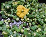 A picture of step 4 of Bhindi masala.