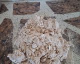 Foto del paso 5 de la receta: Pan de molde integral
