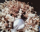 મેગી ભેળ (Maggi Bhel Recipe In Gujarati) રેસીપી સ્ટેપ2ફોટો