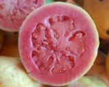 Foto del paso 1 de la receta: Mermelada de Guayaba 😋