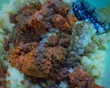 A picture of step 6 of Potato Kibbeh in a Tray.