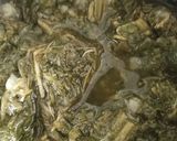 A picture of step 1 of Saag.