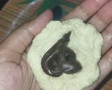 Foto langkah ke 3 dari resep Roti Coklat.