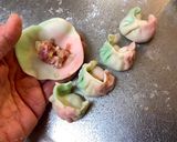 A picture of step 5 of Kawaii Colorful Gyoza Dumplings.