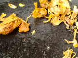 Goda masala