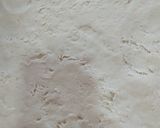 Foto del paso 3 de la receta: Alfajores Relleno de Crema Bon o Bon