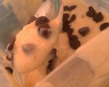 Foto del paso 3 de la receta: Helado de banana