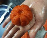 A picture of step 8 of Orange delight.