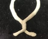 A picture of step 8 of Cinnamon-Sugar Pretzels Depiction of Aunt Anne’s.