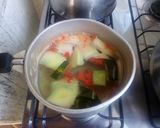 Foto del paso 3 de la receta: Agua de sandía 🍉