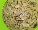Foto langkah ke 3 dari resep Kapucino cingcau #siapramadan.