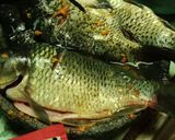 Foto langkah ke 1 dari resep Pecak Ikan Mas.