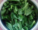 पालक सूप (palak soup recipe in Hindi) रेसिपी चरण 1 फोटो