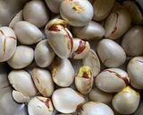A picture of step 1 of Kathal bichi Chingri Bharta / Jackfruit seed Shrimp mash.