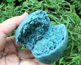 Hình bước làm 3 của món Bánh muffin hoa đậu biếc#teamtress 🌟🌳