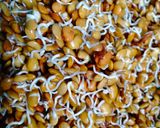 कुळीथ पुदिना पराठा (Kulith pudina paratha recipe in marathi) रेसिपी स्टेप 1 फोटो 