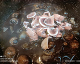 Foto del paso 4 de la receta: Pulpo de playa guisado en su tinta