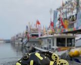 「斑斑摸魚日常嚐」和風燉雞的食譜步驟4照片