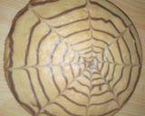 A picture of step 4 of Webbed cake.