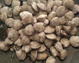 Foto del paso 3 de la receta: Chirlas al ajillo
