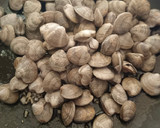 Foto del paso 3 de la receta: Chirlas al ajillo