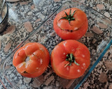 Foto del paso 3 de la receta: Tomates rellenos de carne y arroz