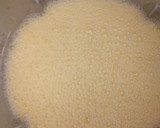 Foto del paso 3 de la receta: Batido de naranja y pepinos