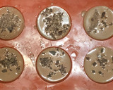 Foto del paso 2 de la receta: Magdalenas de boniato y chocolate !🧁🍫 🍠