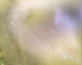 A picture of step 4 of Cherry & Coconut Cake.