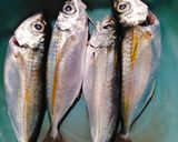 Foto langkah ke 1 dari resep Ikan Kembung Masak Kecap.