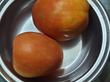 ટામેટા નું શાક (tomato Shaak Recipe in Gujarati)