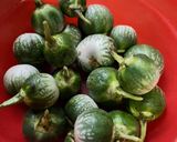 Foto langkah ke 1 dari resep Terong Sambal Ijo.