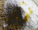 Diótöltelékes burgonyás palacsinta recept fázis 2 fotója