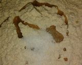 A picture of step 1 of Fulka.