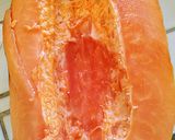 A picture of step 1 of Papaya ice cream.