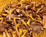 Une image de l'étape 1 de Chanterelles épatantes.