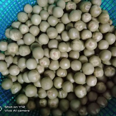 Langkah 1