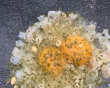 Foto del paso 2 de la receta: Tortillitas de bacalao