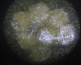 Foto langkah ke 4 dari resep Cireng NASI EMPUK didalam crispy diluar.