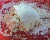 Foto del paso 2 de la receta: Agnolottis primavera con salsa de arándanos