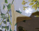Foto del paso 5 de la receta: Medialunas! Rápidas sin manteca ni hojaldre!😋