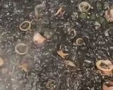 Foto del paso 3 de la receta: Arròs negre