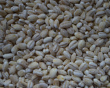 Foto del paso 9 de la receta: Salteado de cebada y verduras