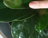 Foto langkah ke 1 dari resep Es Cincau hijau.