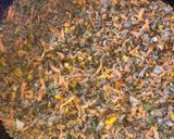 A picture of step 5 of Shepherd’s Kibbeh in a Tray.
