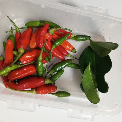 Langkah 4